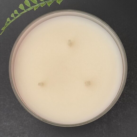 BBW Frosted Cranberry White Barn Bath & Body Works 3 Wick Candle - Picture 7 of 10